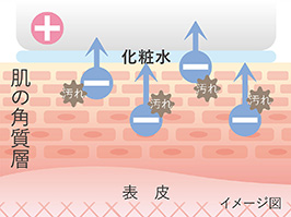 Hình ảnh: Làm sạch