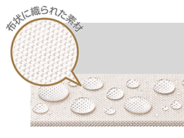 Hình ảnh: Lớp phủ Silky Moist