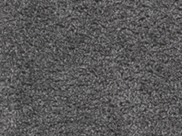 Hình ảnh: Bìa Meyer