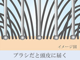 Hình ảnh: Giữ da đầu khỏe mạnh