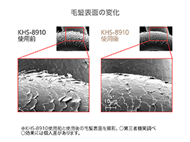 Hình ảnh: Thay đổi bề mặt tóc