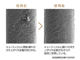 Hình ảnh: Tăng độ bóng