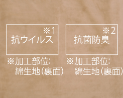 Hình ảnh: Sạch sẽ