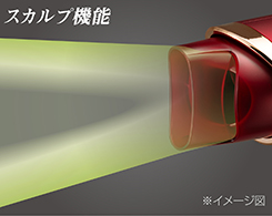 Hình ảnh: Chức năng chăm sóc da đầu