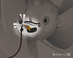 Hình ảnh: Chống quấn tóc