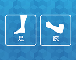 Hình ảnh: Vùng sử dụng