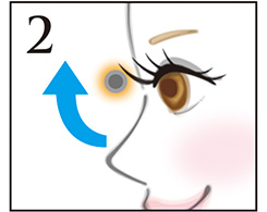 Hình ảnh: Lông mi trên