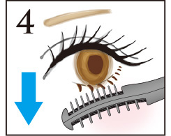 Hình ảnh: Lông mi dưới